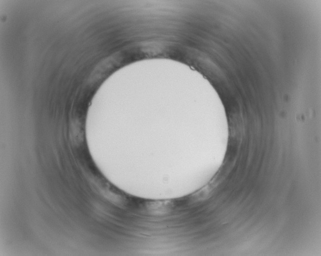 X0000074960136200609291922