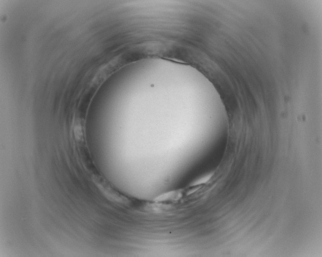 X0000074960137200609291922