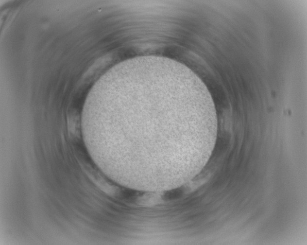 X0000074960138200609291922