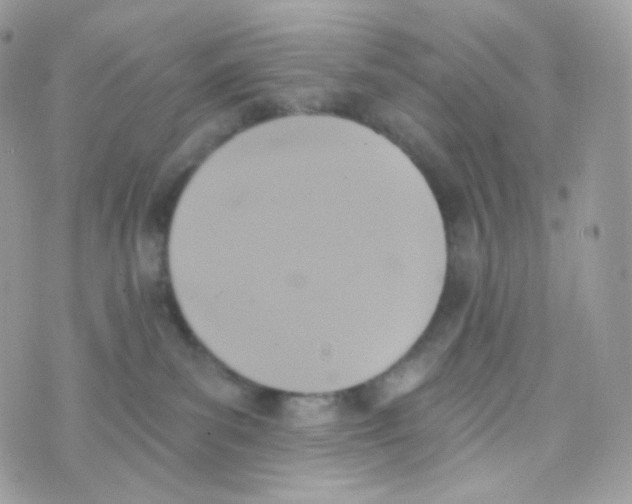 X0000074960139200609291922