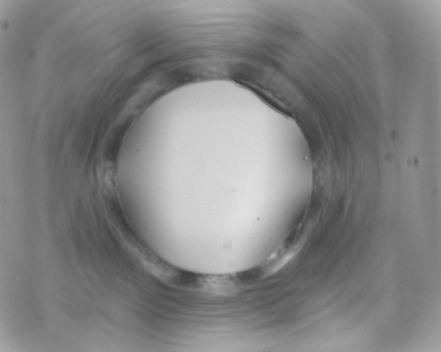 X0000074960141200609291922