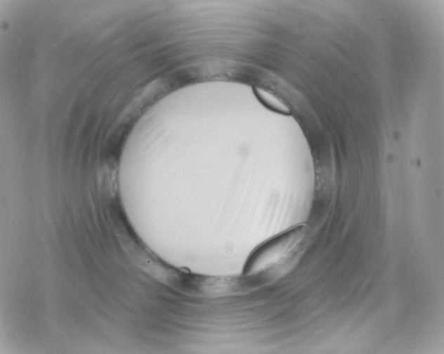 X0000074960142200609291922