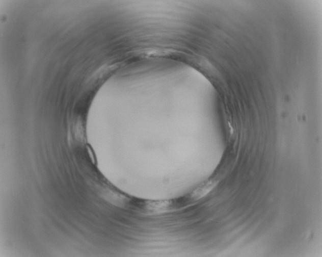 X0000074960143200609291922