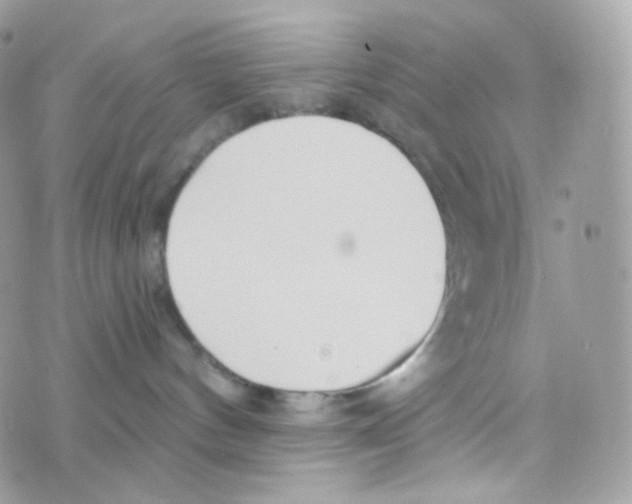 X0000074960144200609291922