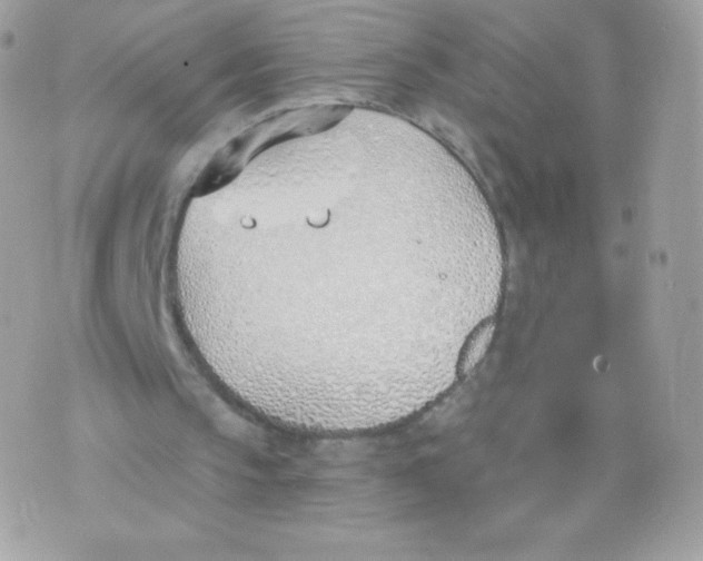 X0000074960145200609291921