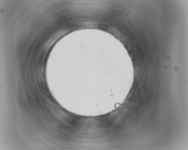 X0000074960146200609291921