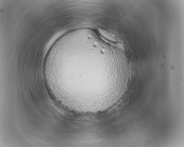 X0000074960147200609291921