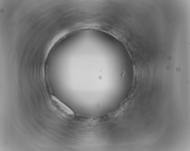 X0000074960148200609291921