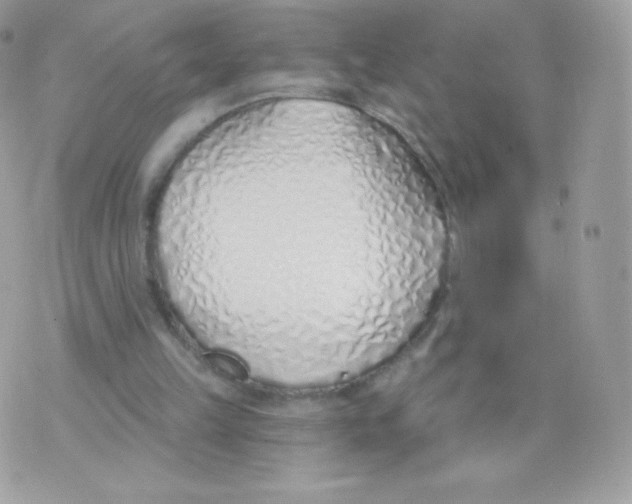 X0000074960149200609291921