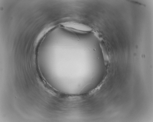 X0000074960150200609291921