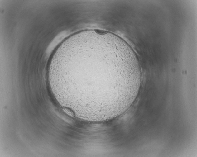 X0000074960151200609291921