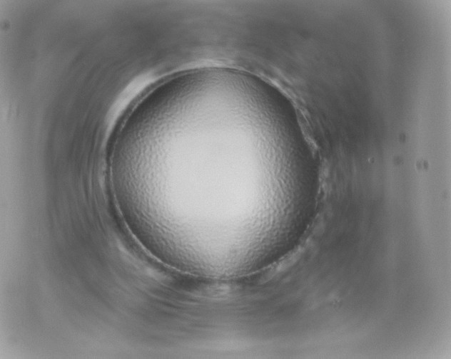 X0000074960152200609291921