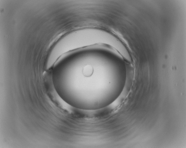 X0000074960154200609291921