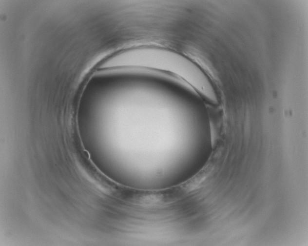 X0000074960156200609291921