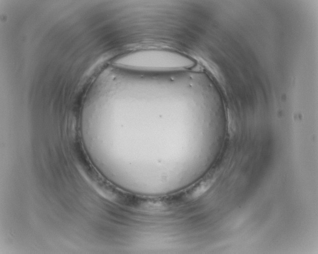 X0000074960157200609291921