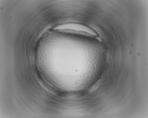 X0000074960158200609291921