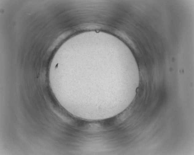 X0000074960159200609291922