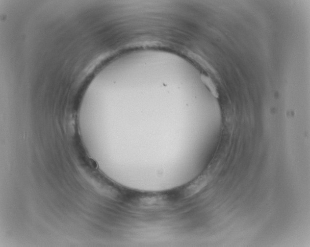 X0000074960160200609291922