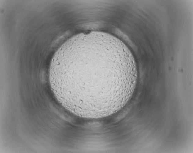 X0000074960161200609291922