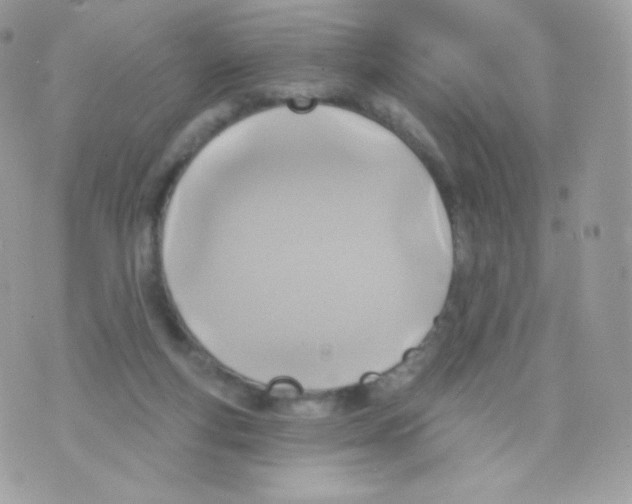 X0000074960163200609291922