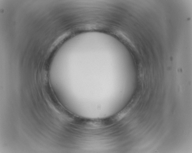 X0000074960164200609291922