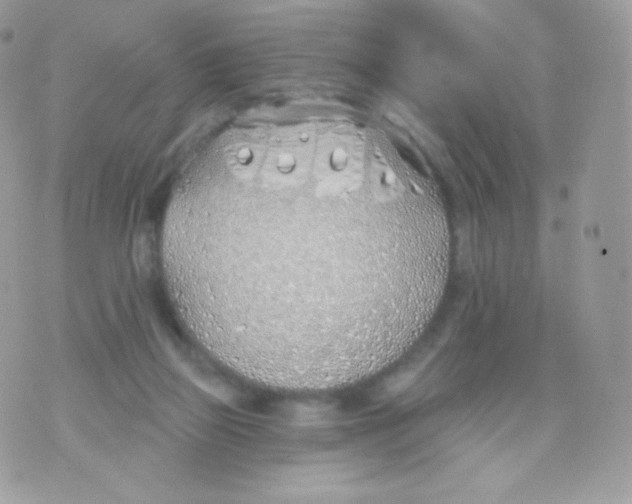 X0000074960165200609291922