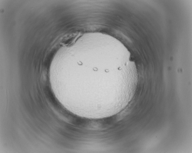 X0000074960166200609291922