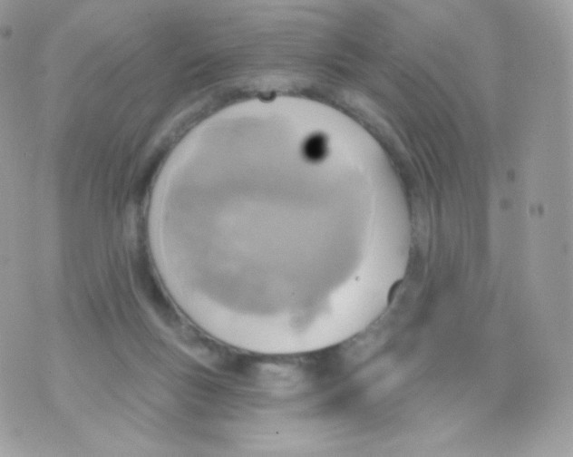 X0000074960167200609291922