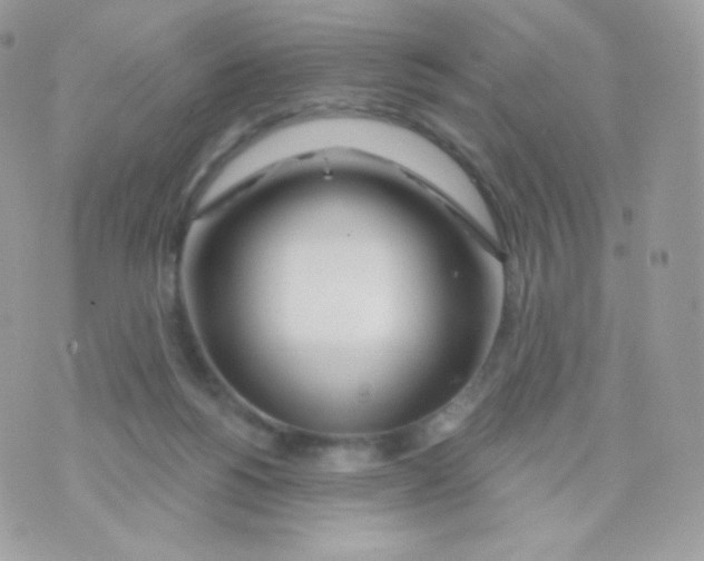 X0000074960168200609291922