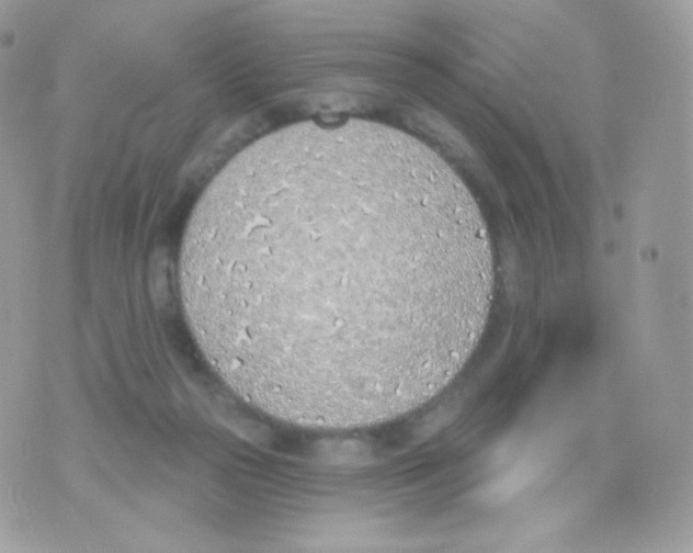 X0000074960169200609291922