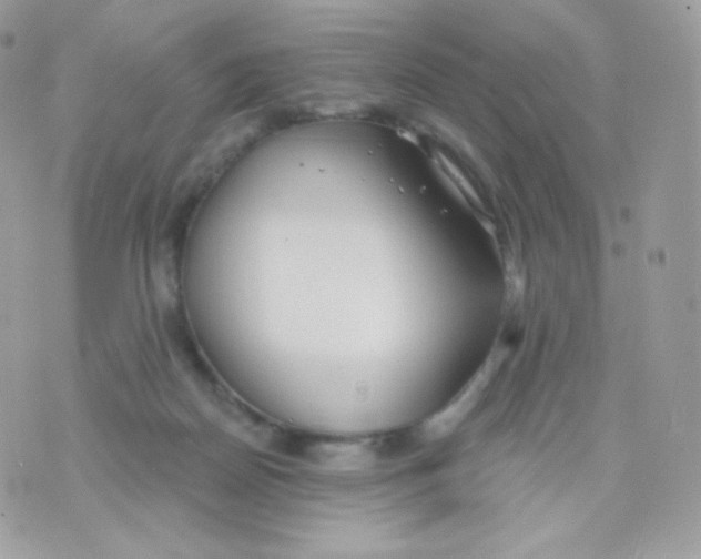 X0000074960170200609291922