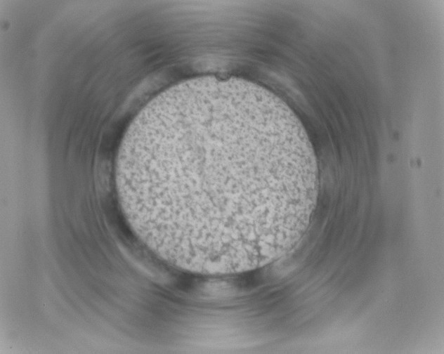 X0000074960171200609291922