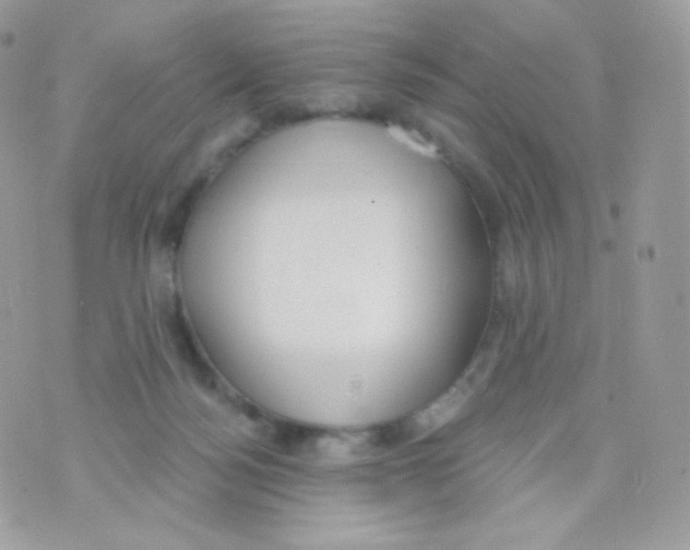 X0000074960172200609291922