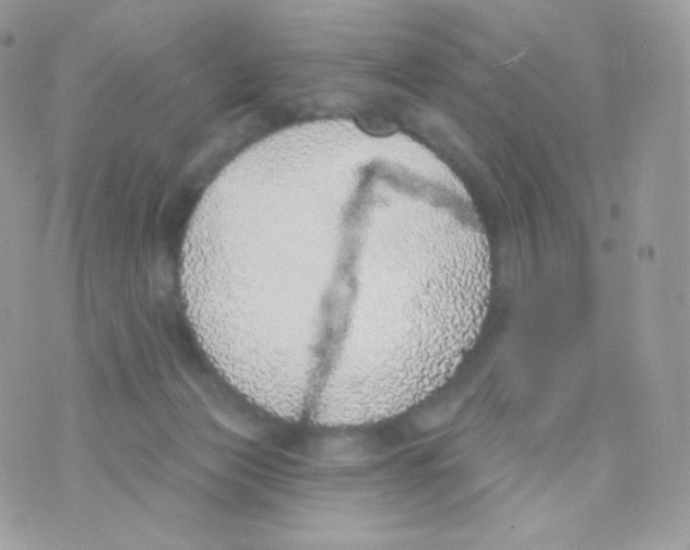 X0000074960173200609291922