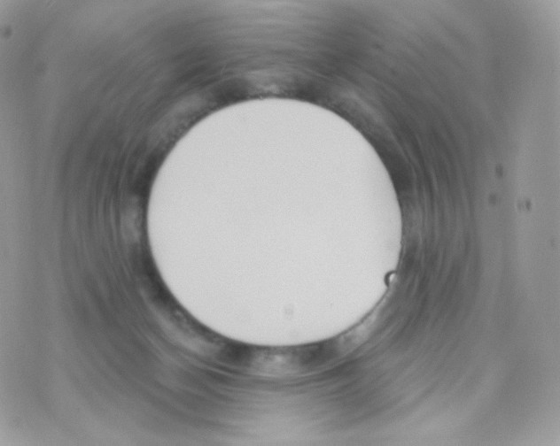 X0000074960174200609291922