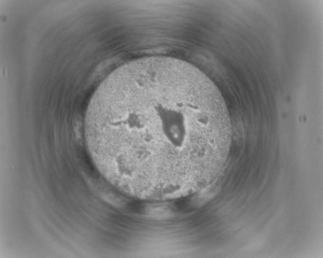 X0000074960175200609291922