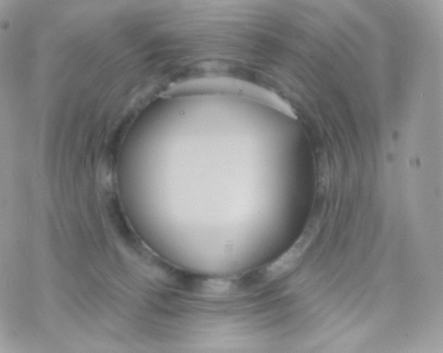 X0000074960176200609291922