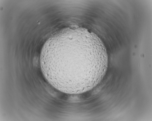 X0000074960177200609291922