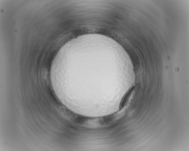 X0000074960178200609291922