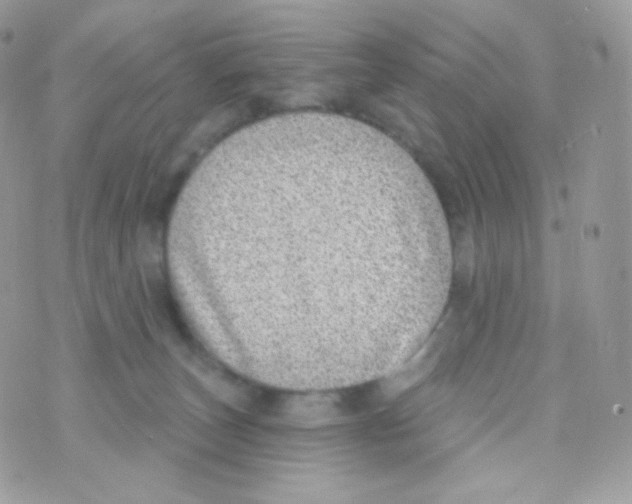 X0000074960179200609291922