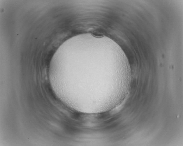 X0000074960182200609291922