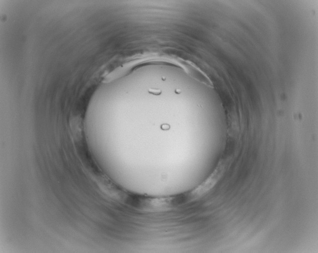 X0000074960184200609291922