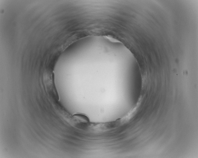 X0000074960186200609291922