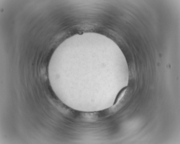 X0000074960187200609291922