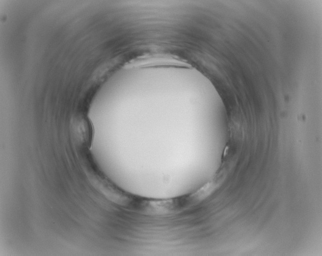 X0000074960188200609291922