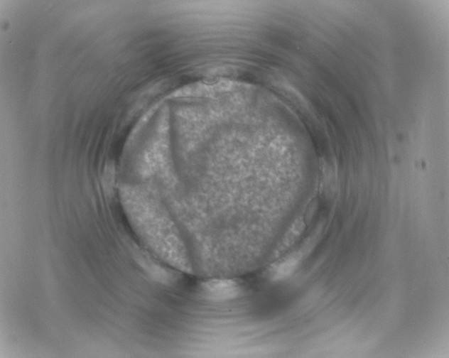 X0000074960189200609291922