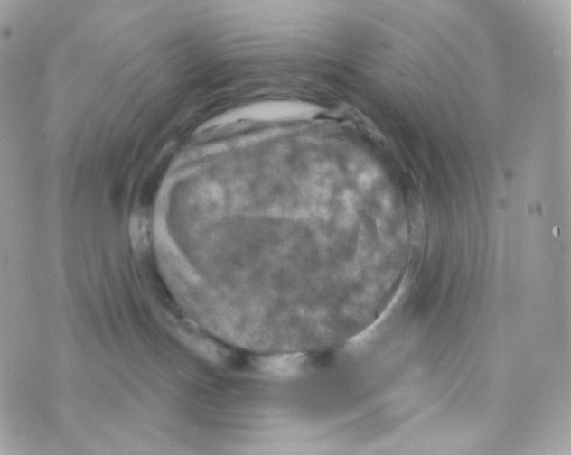 X0000074960191200609291922