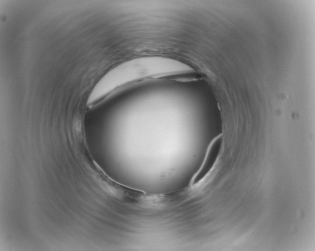 X0000074960192200609291922