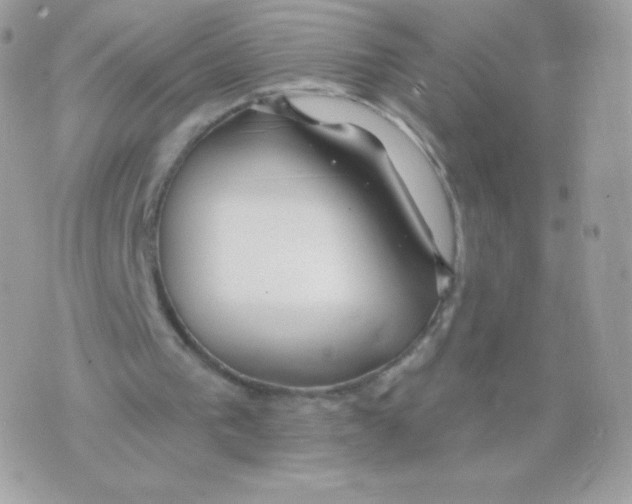 X0000074960193200609291921