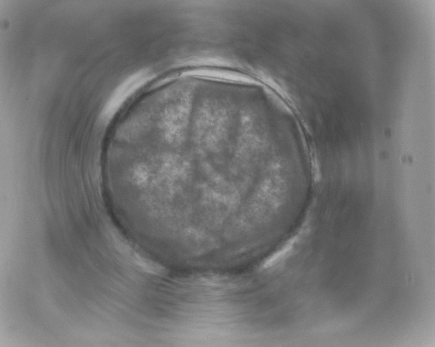 X0000074960199200609291921